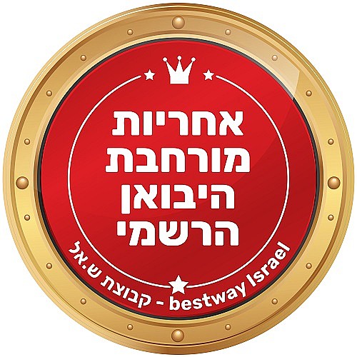 132*274*549 ����� ������ BESTWAY ������, ��� 5619Q ���� ����