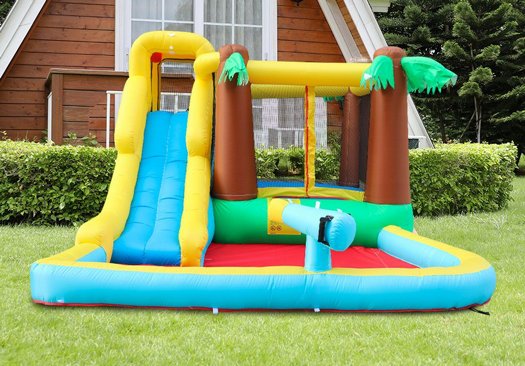 ���� ��� ����� ����� ���� ������+ �����+��� �����+���� ���, ��� 63118 DOCTOR DOLPHIN ������ ������