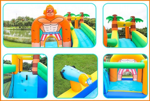 ���� ��� ����� ����� ���� ������+�����+��� �����+���� ���, ��� 73008 DOCTOR DOLPHIN