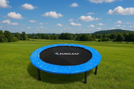 ���������/����� ������/�� ����� 1.01 ���/"40 ����, ��� ���� EUROLEAP