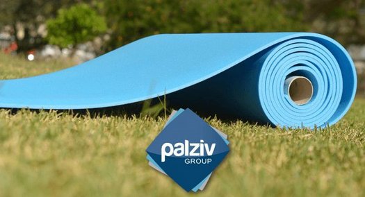    -  !  10 " - 6 "  Palziv